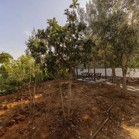 Διαμέρισμα Serene House With Sea View And Garden In Muratpasa Αττάλεια